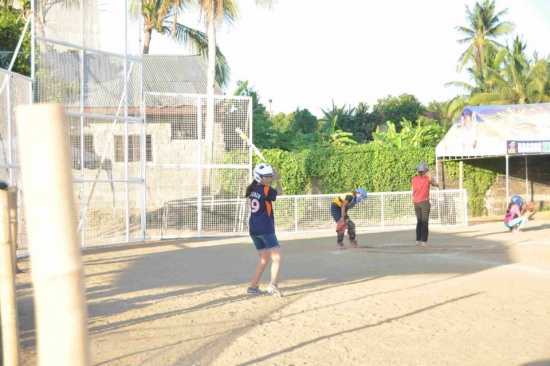 Palarong Pambansa 2014 Softball