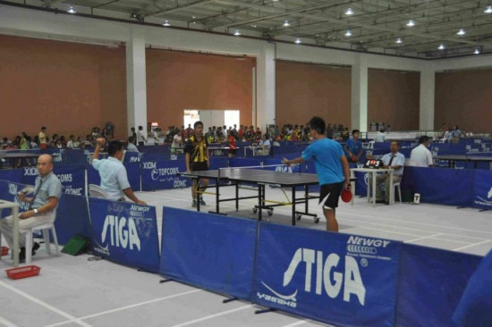 Palaraong Pambansa 2014 Table Tennis